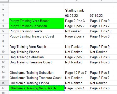 SEO Increasing Rankings