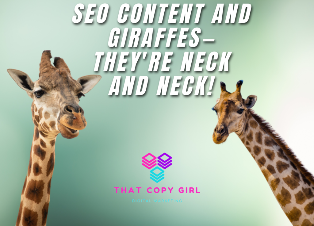 SEO Content, Content Writer Lincolnshire, How Giraffes are like SEO, 2 Giraffes Facing, Cute, Copywriter Lincolnshire